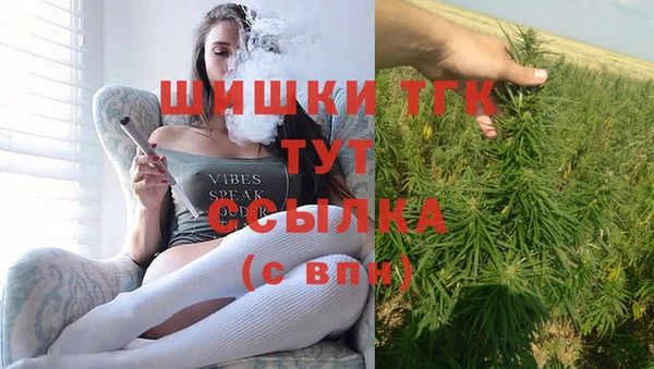 гидропоника Алзамай