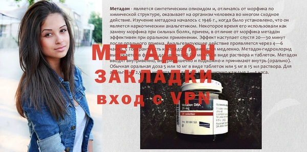 трава Ельня