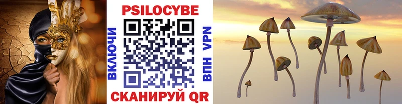MEGA ссылки  Татарск  Псилоцибиновые грибы GOLDEN TEACHER  где найти  