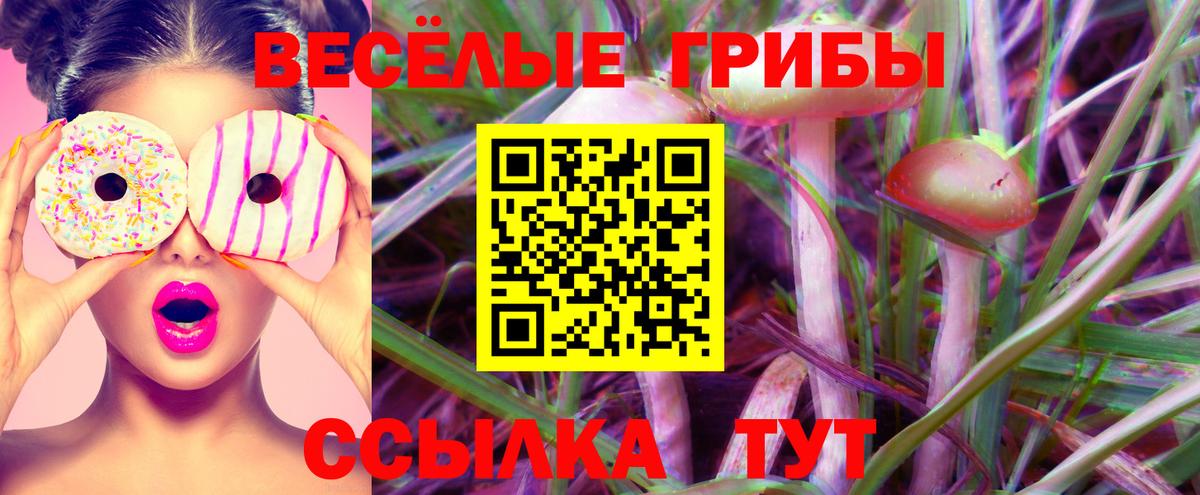 Псилоцибиновые грибы GOLDEN TEACHER Татарск