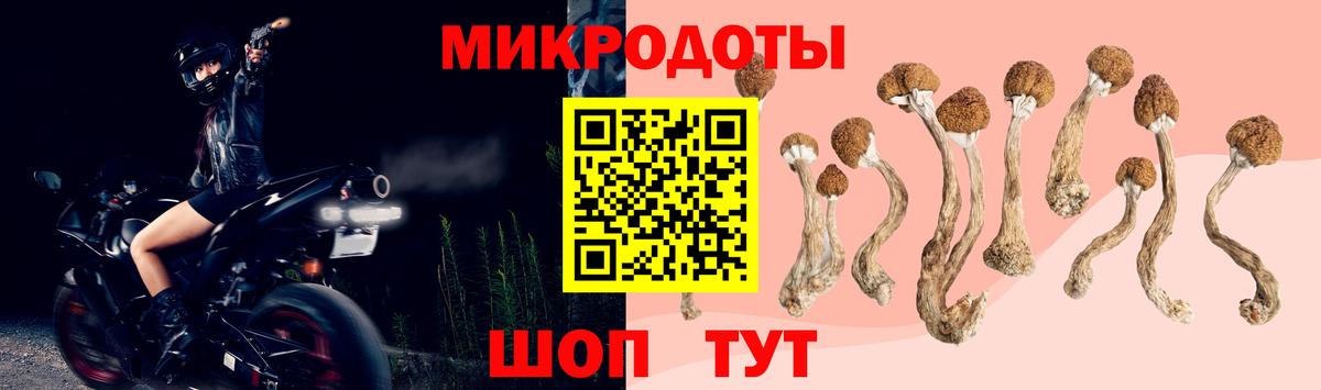 Галлюциногенные грибы мицелий  Вход с VPN  Татарск 